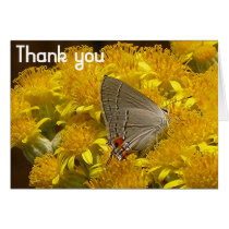 Chesapeake Gardens Products Greeting Card