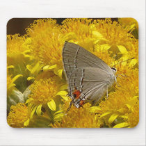 Chesapeake Gardens Products Mousepad