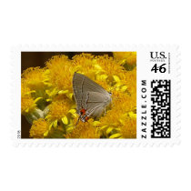 Chesapeake Gardens Products Postage postage