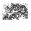 cheshire cat t-shirts by esmesdream cheshire cat t-shirts