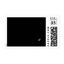 Cheshire Smile postage
