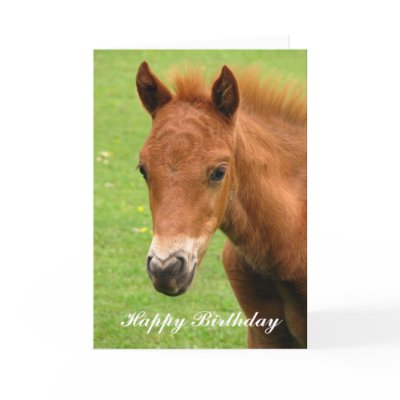chesnut_foal_baby_horse_happy_birthday_card-p137448881725107936bfzif_400.jpg
