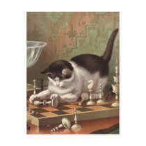 Chess Cat postcard by lodgehouse Chess Cat postcard