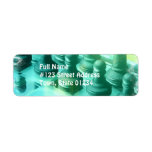 Chess Champ Address Labels