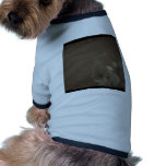 Chess pet clothing