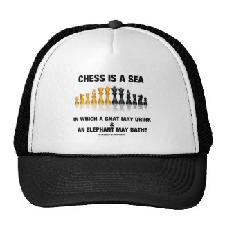 Chess Is A Sea In Which Gnat May Drink Elephant Hats