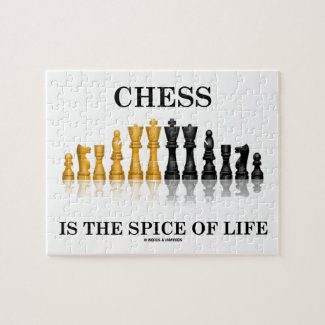 Chess Is The Spice Of Life (Reflective Chess Set) Puzzles