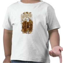 Chess set for sale, Khan el Khalili Bazaar, T Shirt