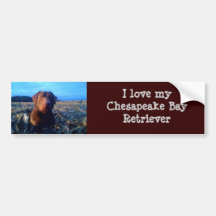 Chessie Bumper Sticker