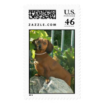 Chessie stamp by classymis Chessie stamp