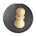 Chessman magnets