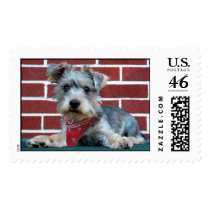 Chester2 postage