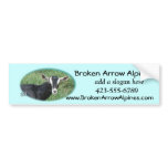 Chester Bumpersticker-customize Bumper Stickers