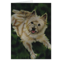 "Chester" cards by paintonmypaws "Chester" cards