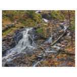 Chester Creek flyers