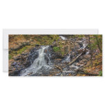 Chester Creek Custom Rack Cards