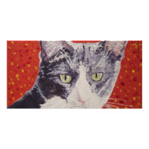 Chester Face Painting photo cards
