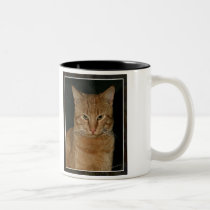 Chester mugs