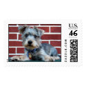 Chester postage