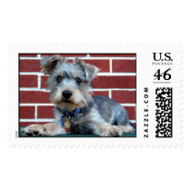 Chester postage by thehartster Chester postage