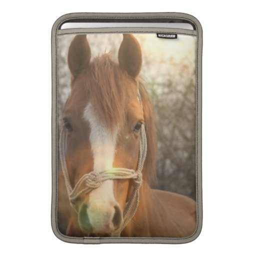 Chestnut Arab Horse 13" MacBook Sleeve