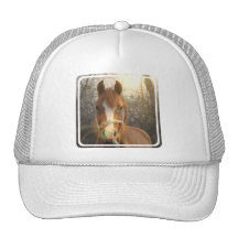 Chestnut Arab Horse Baseball Hat