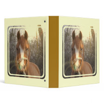 Chestnut Arab Horse Binder