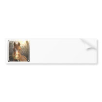 Chestnut Arab Horse Bumper Sticker