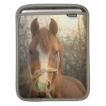 Chestnut Arab Horse iPad Sleeve