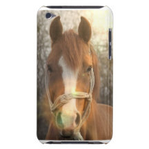 Chestnut Arab Horse iTouch Case iPod Touch Cover