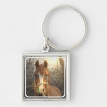 Chestnut Arab Horse Keychain