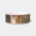 Chestnut Arab Horse Pet Bowl Cat Water Bowls
