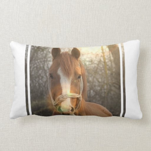 Chestnut Arab Horse Pillow