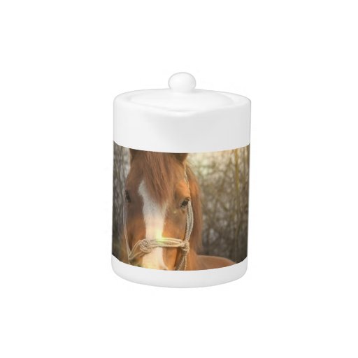 Chestnut Arab Horse Teapot