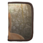 Chestnut Arab Horse Wallet Folio Organizers