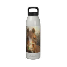 Chestnut Arab Horse Water Bottle