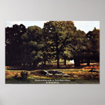 Chestnut Avenue In La Celle-Saint-Cloud Poster