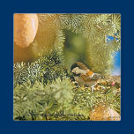 Chestnut-backed Chickadee Magnet magnets
