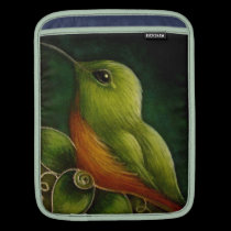 CHESTNUT BREASTED HUMMINGBIRD Rickshaw Sleeve rickshaw sleeves