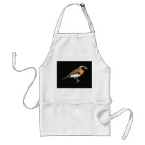 Chestnut-breasted Mannikin - Lonchura castaneothor aprons