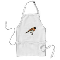 Chestnut-breasted Mannikin - Lonchura castaneothor aprons