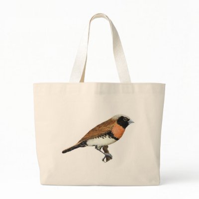Chestnut-breasted Mannikin - Lonchura castaneothor Tote Bag by LisasLair