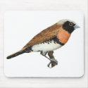 Chestnut-breasted Mannikin - Lonchura castaneothor mousepads by LisasLair Chestnut-breasted Mannikin - Lonchura castaneothor mousepads