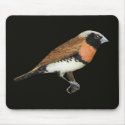 Chestnut-breasted Mannikin - Lonchura castaneothor mousepads by LisasLair Chestnut-breasted Mannikin - Lonchura castaneothor mousepads