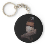 Chestnut breasted mannikin (munia) keychain