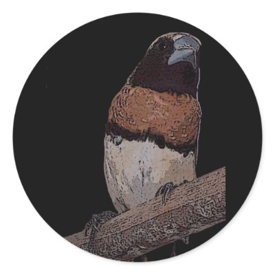 Chestnut breasted mannikin sticker by Lisachromis
