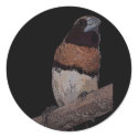 Chestnut breasted mannikin sticker by Lisachromis Chestnut breasted mannikin sticker