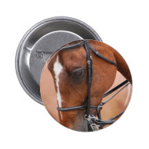Chestnut Equine Button