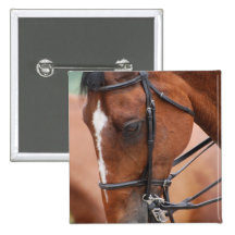 Chestnut Equine  Pin