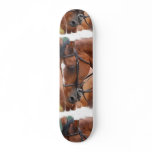 Chestnut Equine  Skateboard